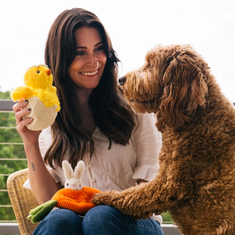 Hatching Dog PLAY Hatching Chick Plush Dog Toy Hippity Hoppity Collection – houndhamper